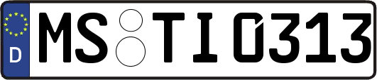 MS-TI0313