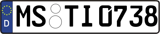 MS-TI0738