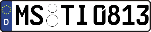 MS-TI0813