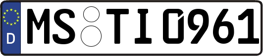 MS-TI0961