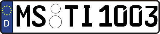 MS-TI1003