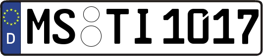MS-TI1017