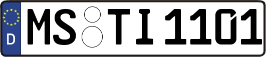 MS-TI1101