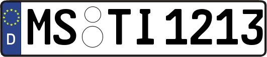 MS-TI1213