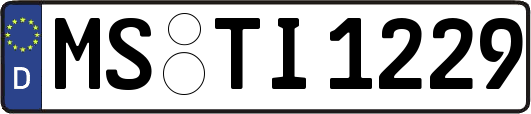 MS-TI1229