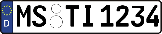 MS-TI1234