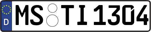 MS-TI1304