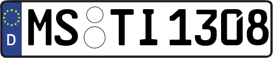 MS-TI1308