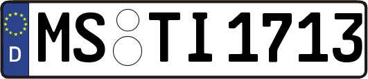 MS-TI1713