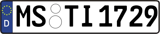 MS-TI1729