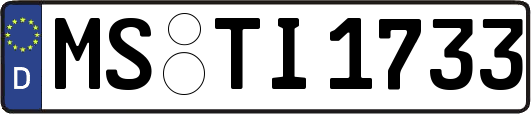 MS-TI1733