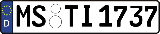 MS-TI1737