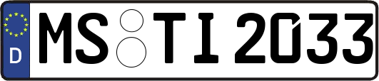 MS-TI2033