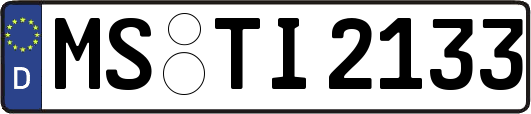 MS-TI2133