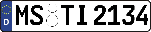 MS-TI2134