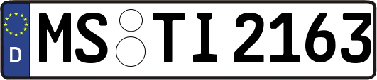 MS-TI2163