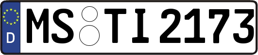 MS-TI2173
