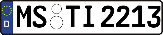 MS-TI2213