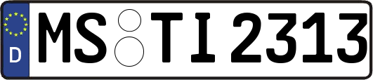 MS-TI2313