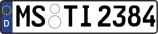 MS-TI2384