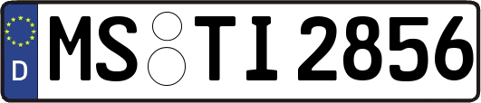 MS-TI2856
