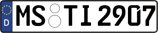 MS-TI2907