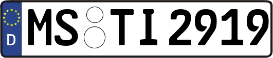 MS-TI2919
