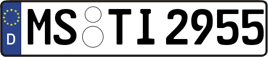 MS-TI2955