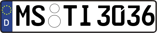 MS-TI3036