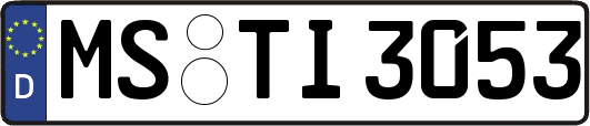 MS-TI3053
