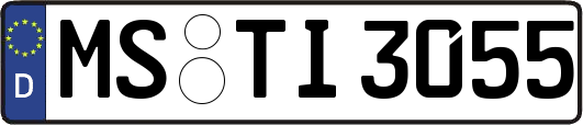 MS-TI3055