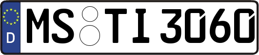MS-TI3060