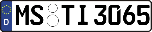MS-TI3065