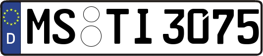 MS-TI3075