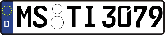 MS-TI3079
