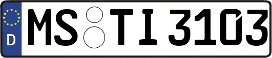 MS-TI3103