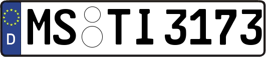MS-TI3173