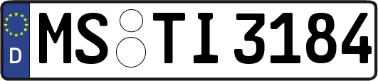 MS-TI3184