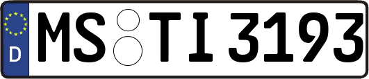 MS-TI3193