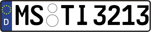 MS-TI3213