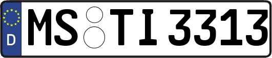 MS-TI3313