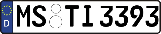 MS-TI3393