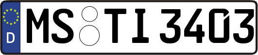 MS-TI3403