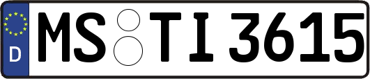 MS-TI3615