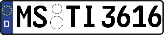 MS-TI3616