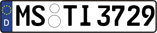 MS-TI3729