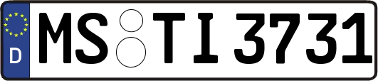 MS-TI3731