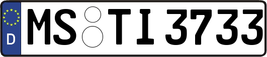 MS-TI3733
