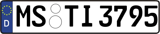 MS-TI3795