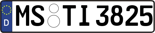 MS-TI3825